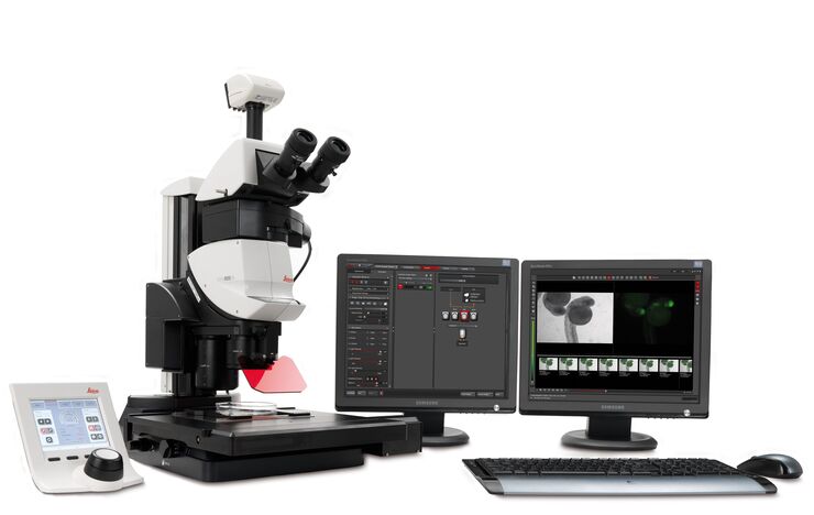 LAS X Widefield Systems Fluorescence Microscope System Media