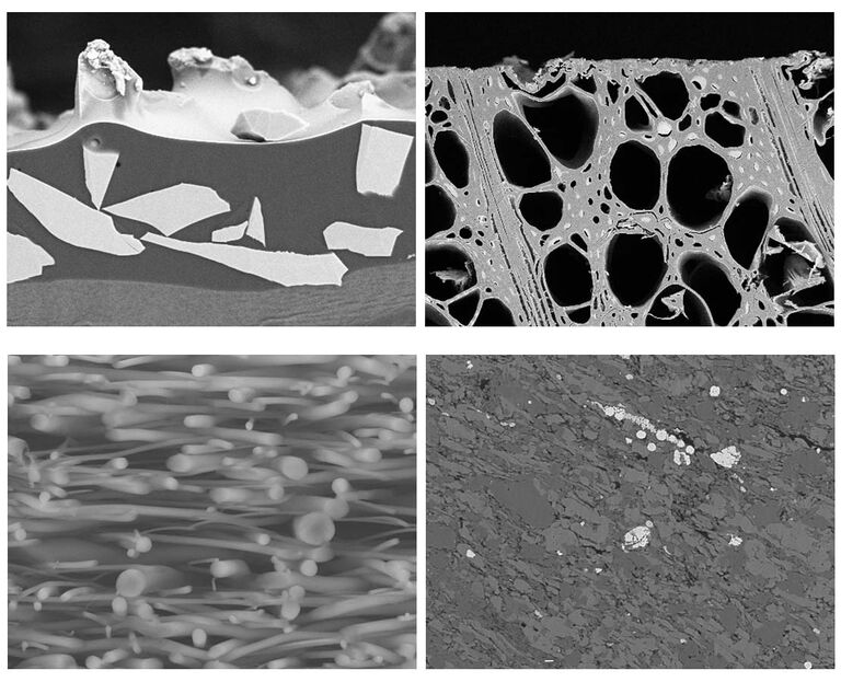 1: Sección transversal de papel abrasivo SiC l 2: Sección transversal de chapa l 3: Fibra de polímero coaxial (soluble en agua) preparada a -120 °C l 4: Pizarra bituminosa (nanoporos) vista con el Leica EM TIC 3X (platina giratoria); tamaño total de la muestra: Ø 25 mm