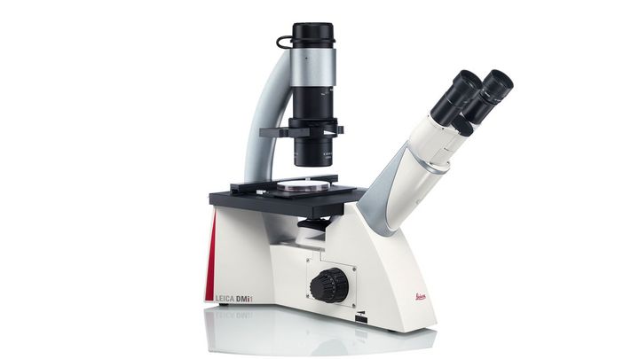 Leica DMi1 for Core Cell Culture