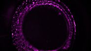 Zebrafish-embryo image captured using a THUNDER Imager Tissue and live instant computational clearing. Zebrafish-embryo image captured using a THUNDER Imager Tissue and live instant computational clearing.