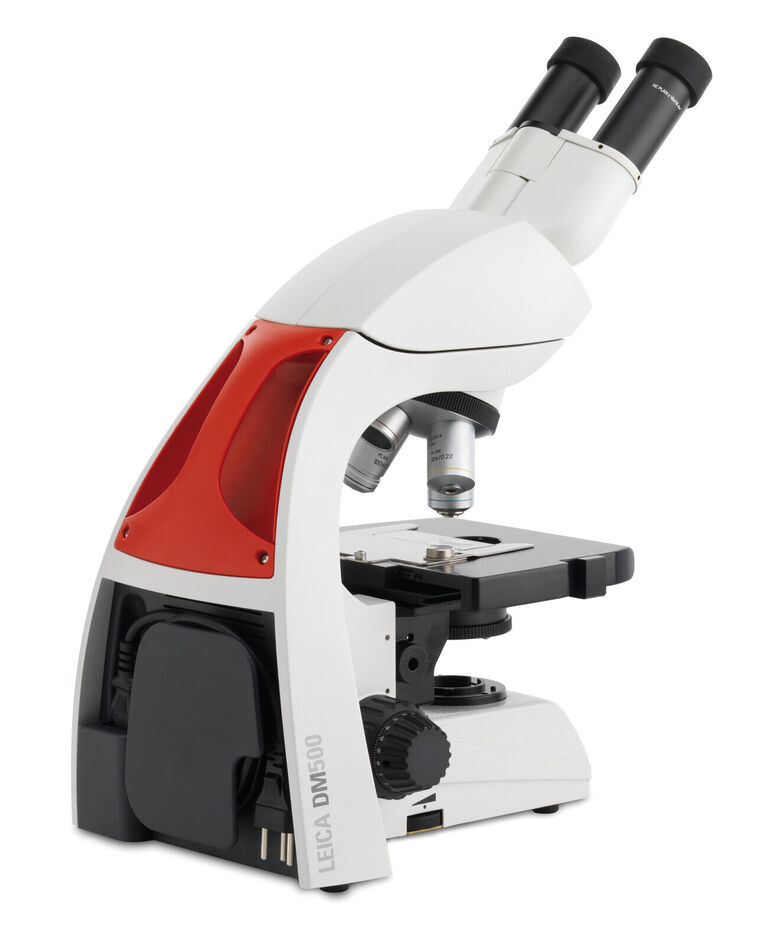 DM500 Binocular, fluorescence-capable educational microscope for life science courses