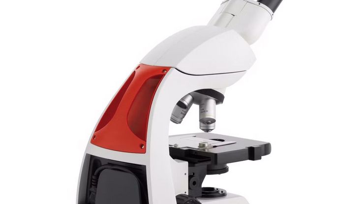 DM500 Educational Microscope