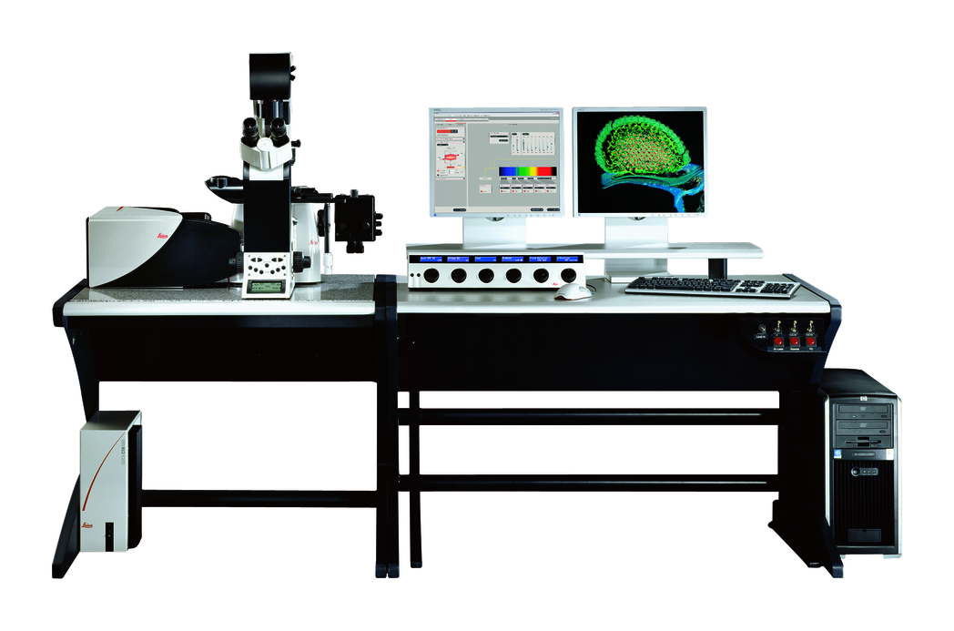 Broadband confocal Leica TCS SP5