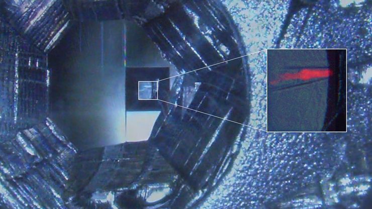 C. elegans embedded in Lowicryl® HM20; pharynx showing red fluorescence (mCherry). C. elegans embedded in Lowicryl® HM20; pharynx showing red fluorescence (mCherry). The overview shows a front view onto the resin capsule formed by the bottom of a flow-through chamber of the EM AFS2. The capsule was pretrimmed manually. The blockface was trimmed automatically using the AutoTrim function of UC Enuity guided by fluorescence of the worm. Edge length of both squares in relation to the images is 250 µm.