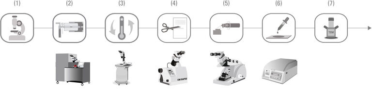 Live cell imaging (THUNDER) | High Pressure Freezing (EM ICE) | Freeze Substitution (EM AFS2) | Trimming (EM RAPID) | Ultra-Thin sectioning (UC7) | Staining (EM AC20) | Image analysis in the TEM
