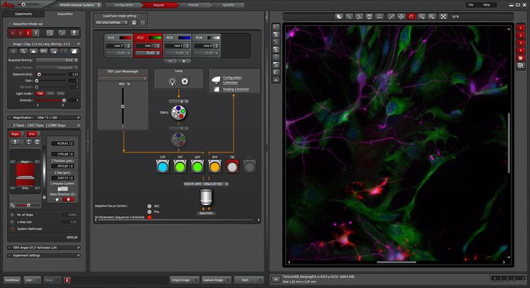 From the setup to the analysis of the imaging data, LAS X is the perfect software platform
