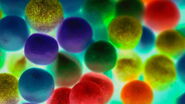 Combining spectrally resolved detection and fluorescence lifetime multiplexing Combining spectrally resolved detection and fluorescence lifetime multiplexing