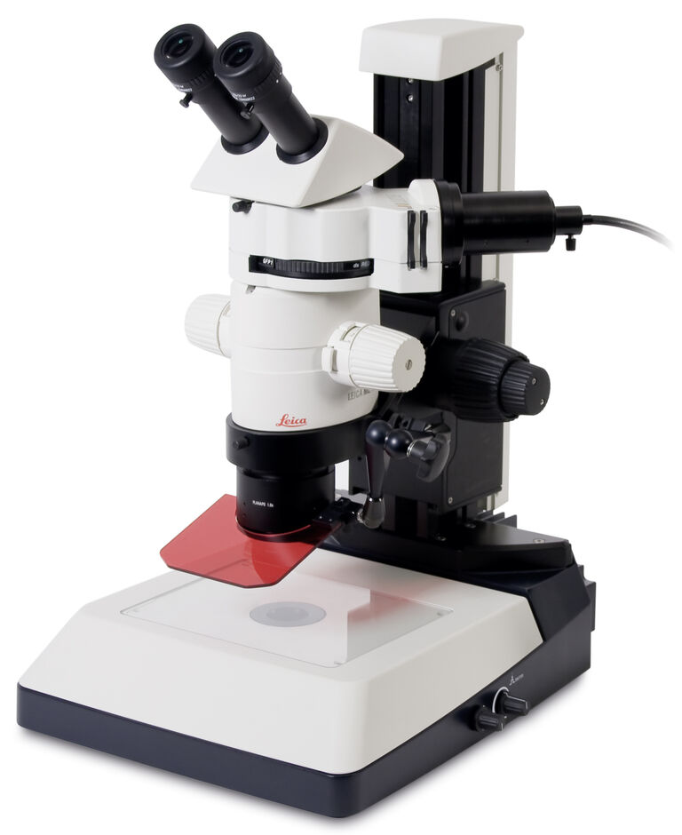 Microscopio stereoscopico a fluorescenza Leica MZ10 F con illuminazione EL6000