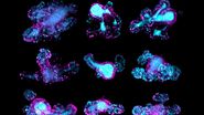 67-hour, multi-position time-lapse of mouse intestinal organoids expressing the cell cycle reporter FUCCI2 (hGem-mVenus and hCdt1-mCherry).  67-hour, multi-position time-lapse of mouse intestinal organoids expressing the cell cycle reporter FUCCI2 (hGem-mVenus and hCdt1-mCherry).