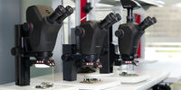 [Translate to German:] Ivesta 3 Greenough Stereo Microscopes