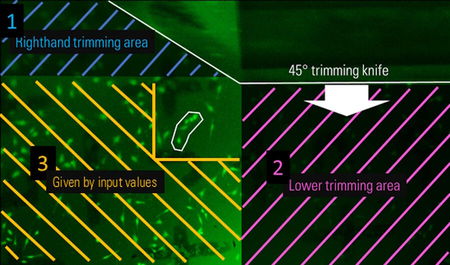 Figure 8: Final calculation of the desired block-face position – step 3. After definition of two edges of the block-face the remaining positions are calculated by the input values during the initial part of the software workflow. The calculated trimming areas are depicted by the yellow section lining. They will be approached during the automatic trimming by automatic turning of the sample (90° and back).