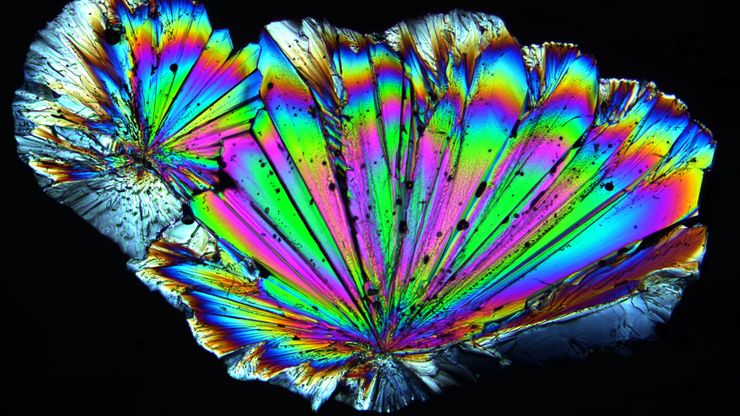 Radially grown sugar crystals which have been imaged with a Leica microscope using circular polarized light. Radially grown sugar crystals which have been imaged with a Leica microscope using circular polarized light.
