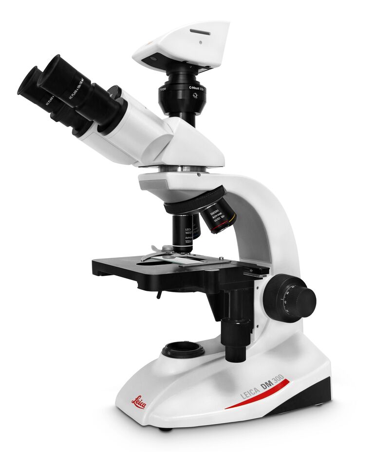 Leica DM300 compound microscope with open binocular tube for camera connection
