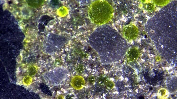 Cross section of concrete showing its particle components, normally from stone, gravel, sand, and sometimes glass; image with M125 stereo microscope with pixel shift camera in 36 shot mode.