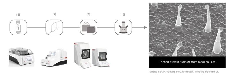 [Translate to italian:] Standard SEM Workflow