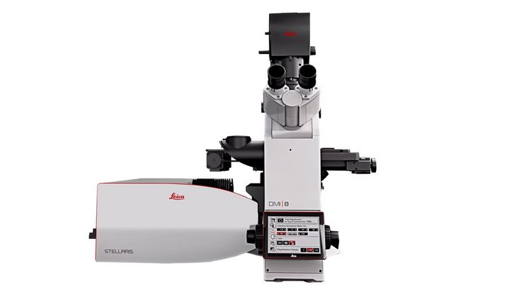 STELLARIS Personal Confocal Microscope