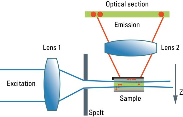 Confocal and Light Sheet Imaging | Science Lab | Leica Microsystems