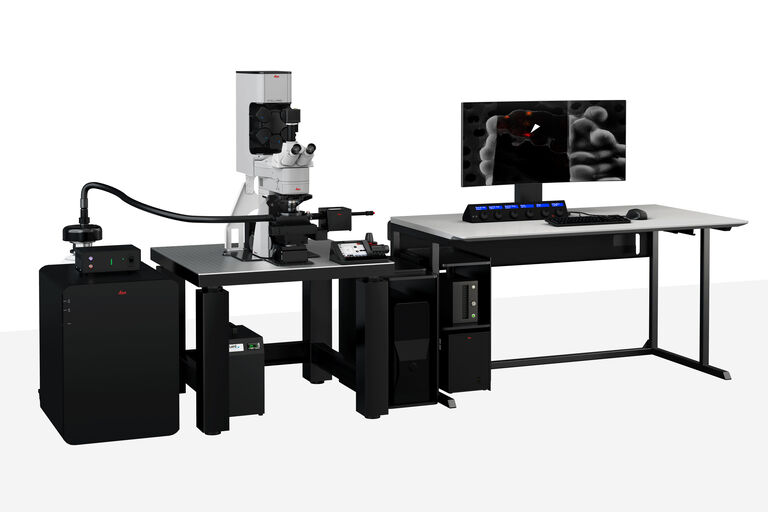 STELLARIS Cryo Confocal Microscope