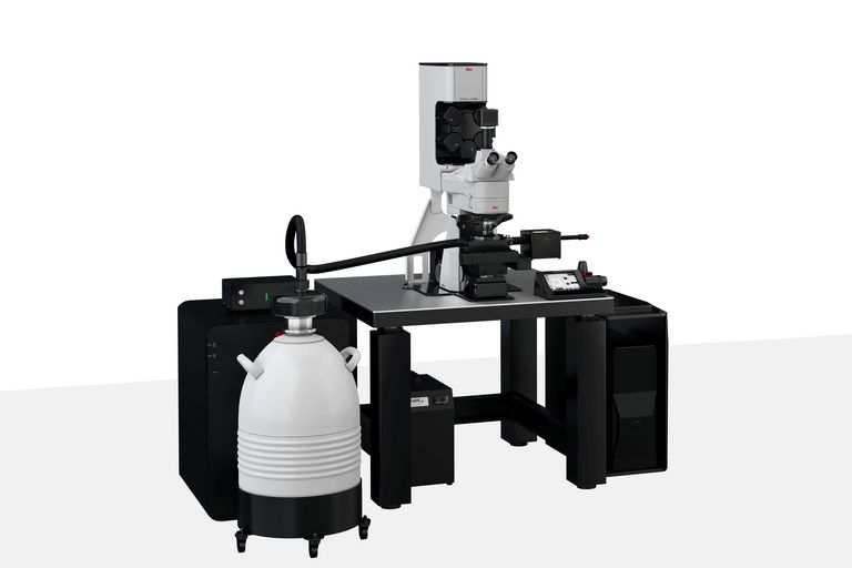 STELLARIS Cryo Confocal Microscope