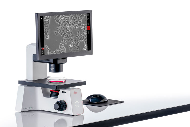 Microscopio digital de luz transmitida Mateo TL