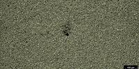 Électrode de batterie présentant un trou défectueux. Image obtenue avec un éclairage en fond noir et un microscope composé Leica.