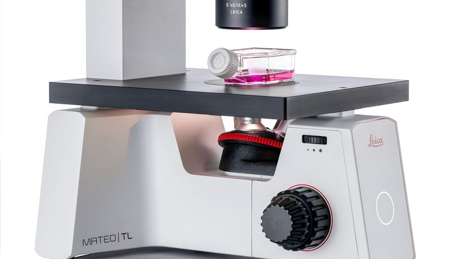 Mateo TL – Product image with cell culture sample