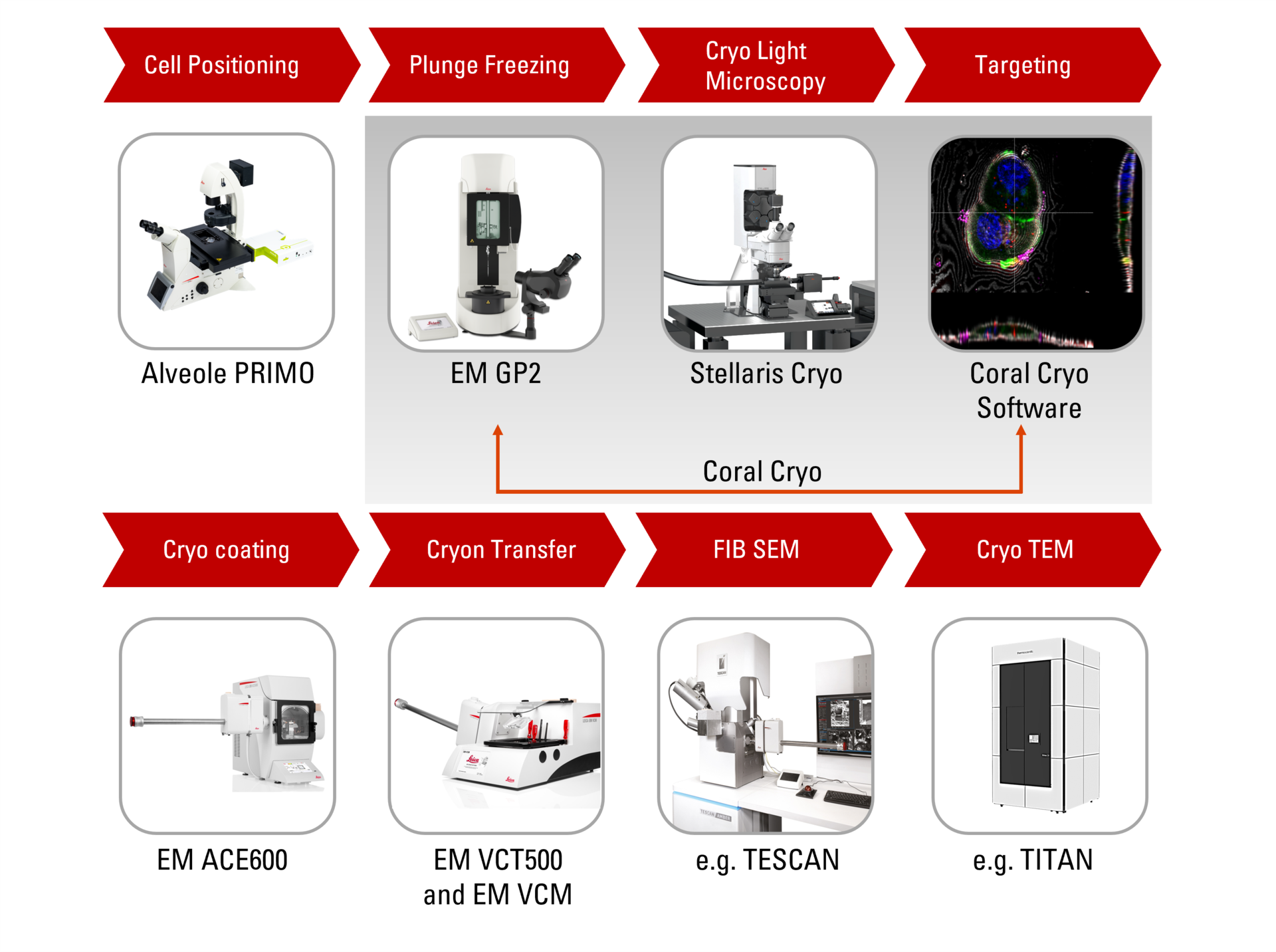 Coral Cryo 3D cryo-electron tomography workflow solution. Coral Cryo 3D cryo-electron tomography workflow solution.