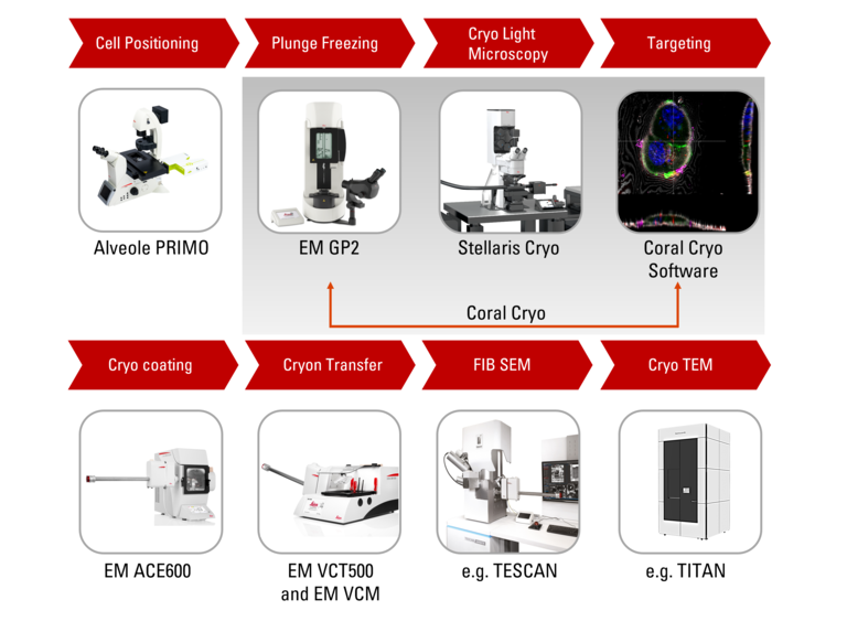 Coral Cryo 3D cryo-electron tomography workflow solution