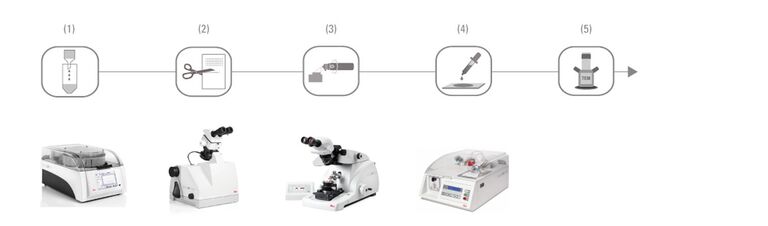 3D-Schnitttomographie-Workflow