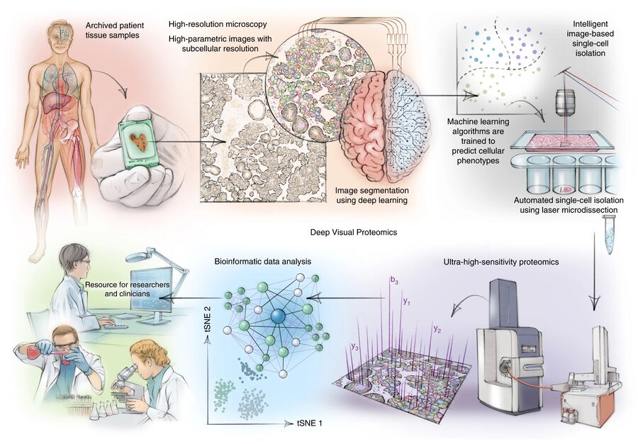 Illustration of the DVP concept and workflow where tSNE represents t-distributed stochastic neighbor embedding.  Fig. 1: Illustration of the DVP concept and workflow where tSNE represents t-distributed stochastic neighbor embedding.