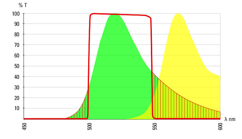 Fluorescence emission profile of Alexa